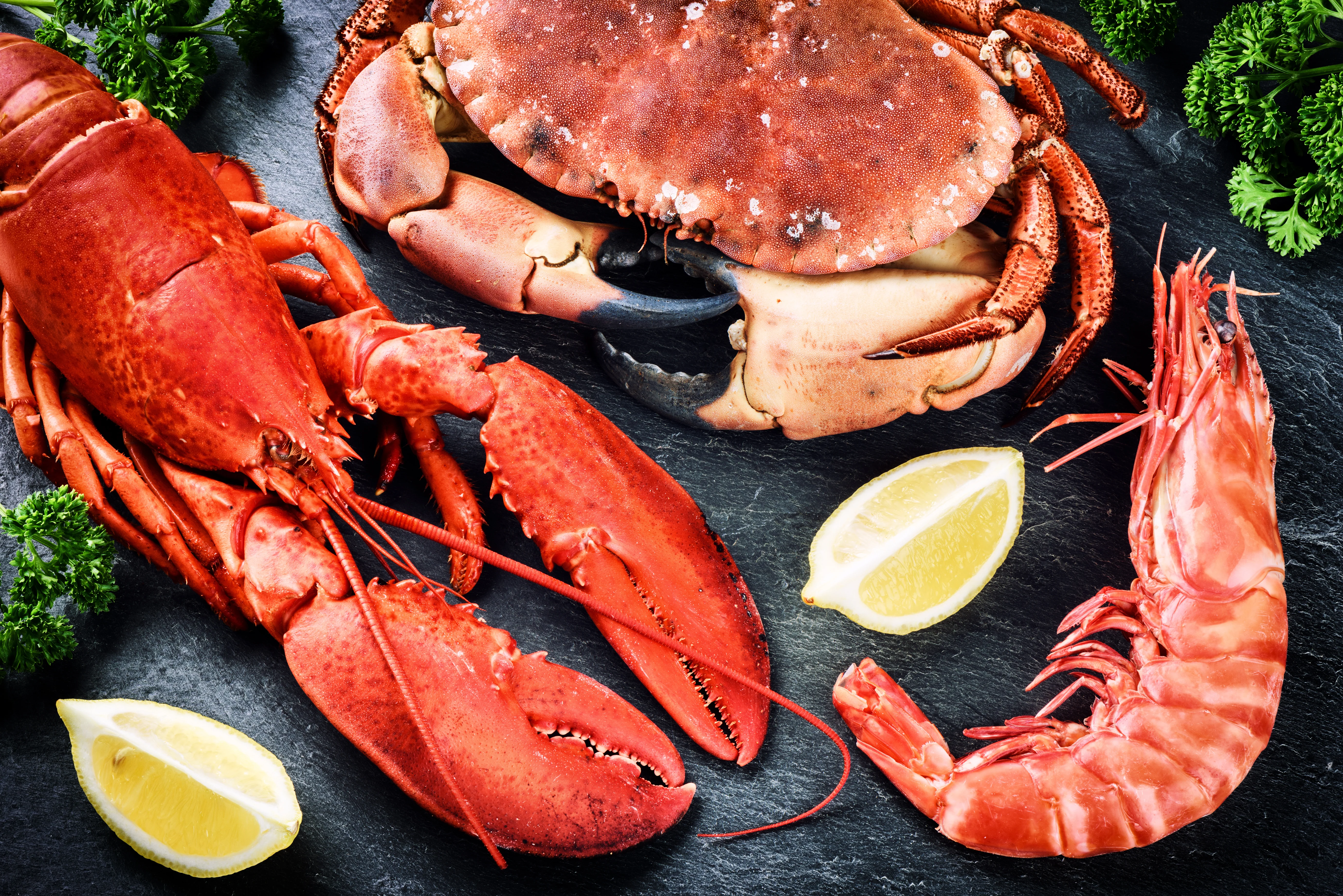 Namara Seafoods
