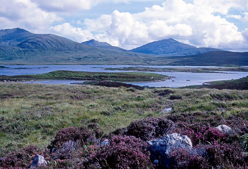 Gatliff Hebridean Hostel - Howmore heather loch & mountains