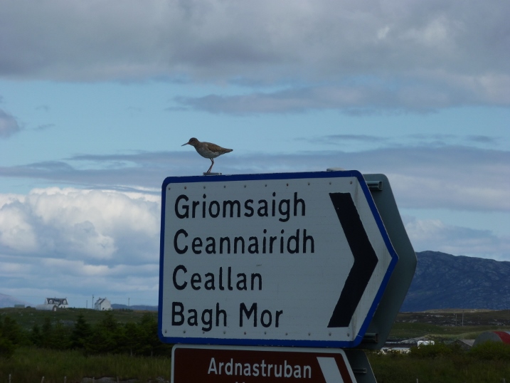 Baymore House roadsign
