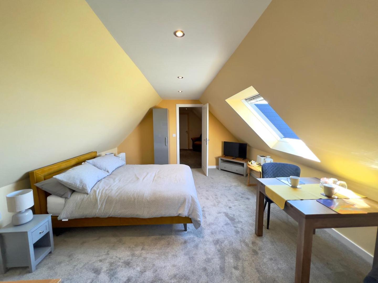 Bedroom with skylight
