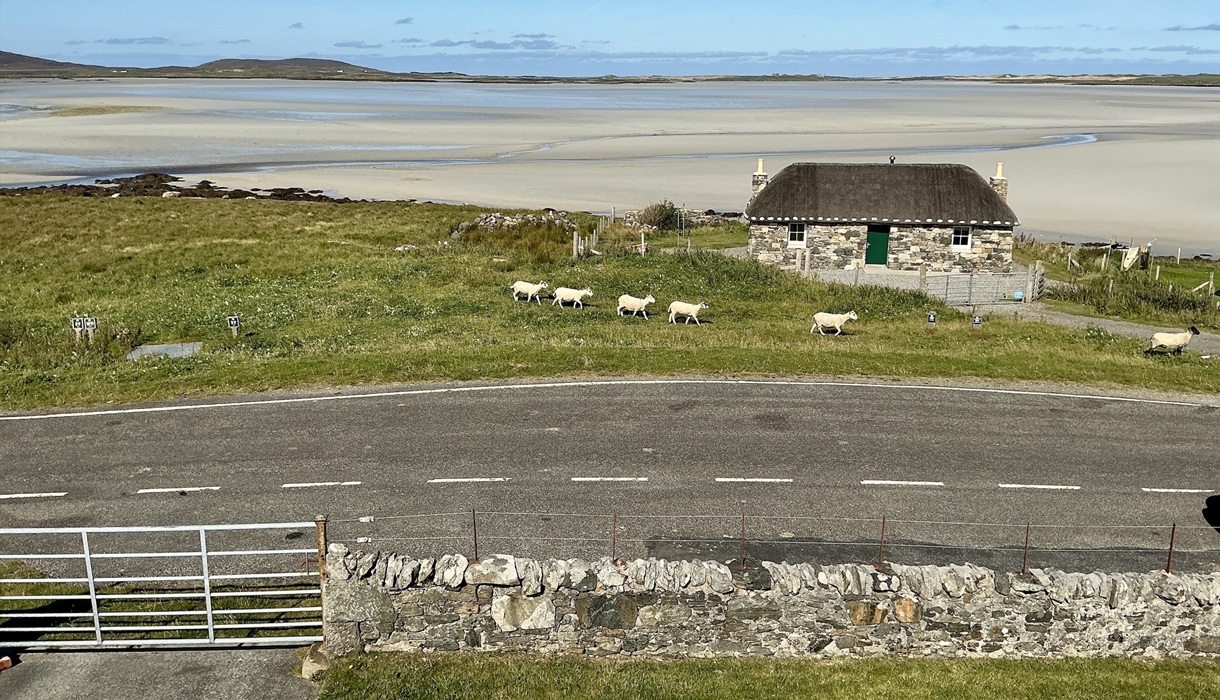 View from Bedrm 3