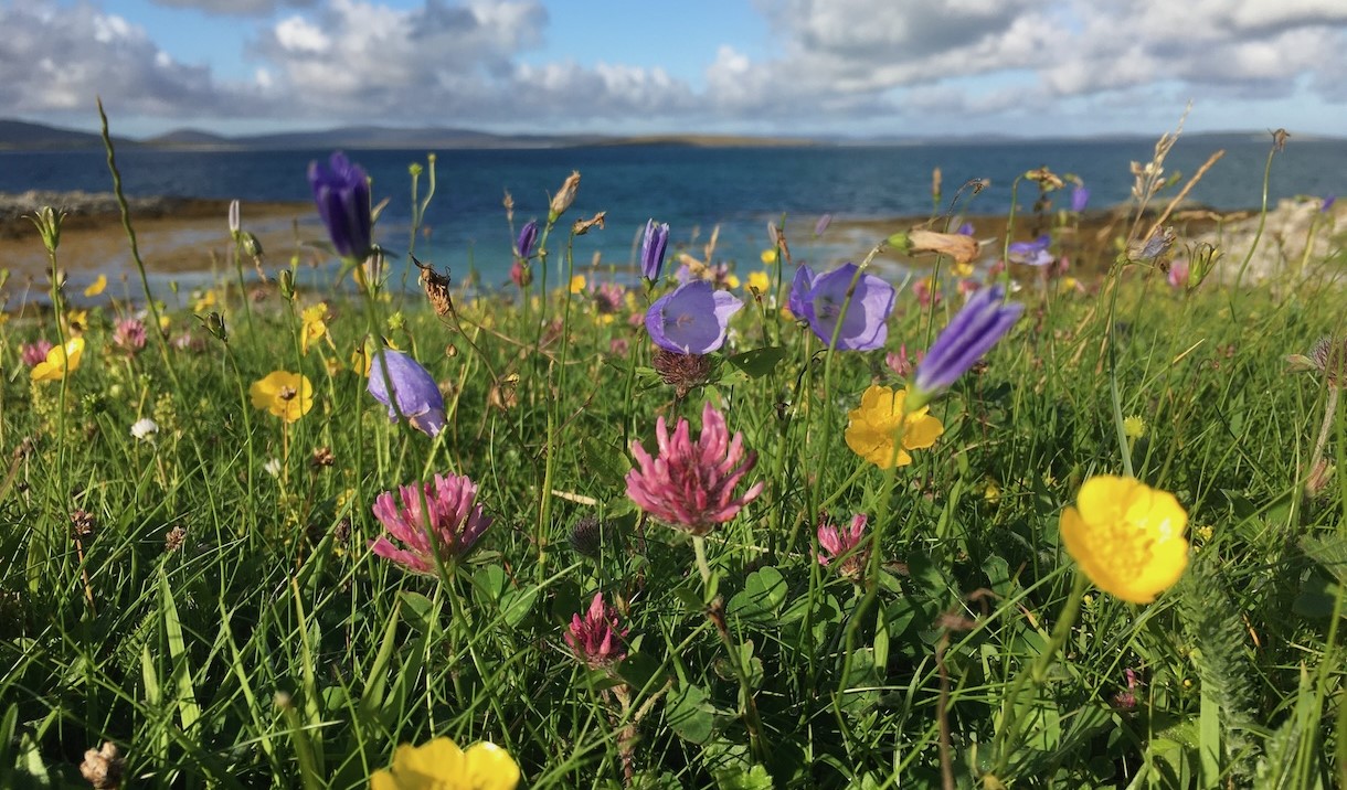 The Smiddy (Burnside Croft) machair