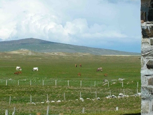 Berneray Smiddy — Self-catering in Berneray