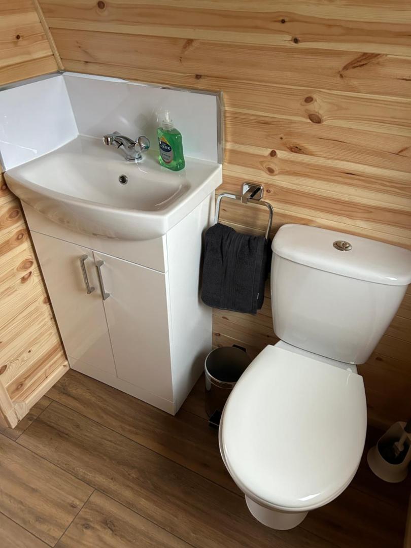 Basin and toilet