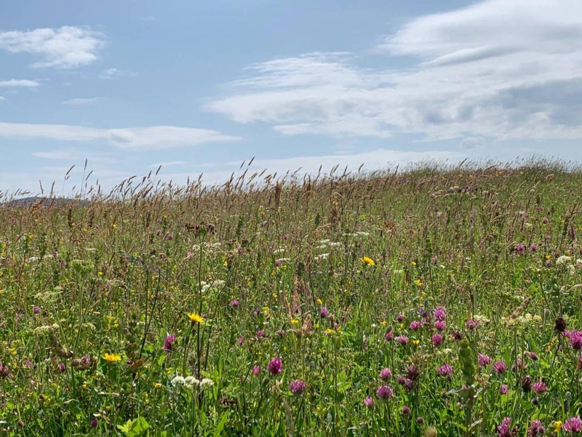 Otter Cottage, Berneray 40