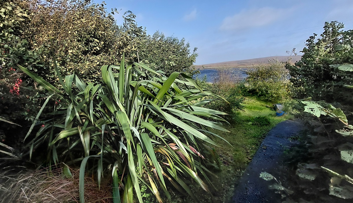 Kelp Cottage garden