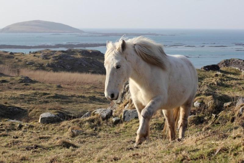 Eriskay Views Cottage 21