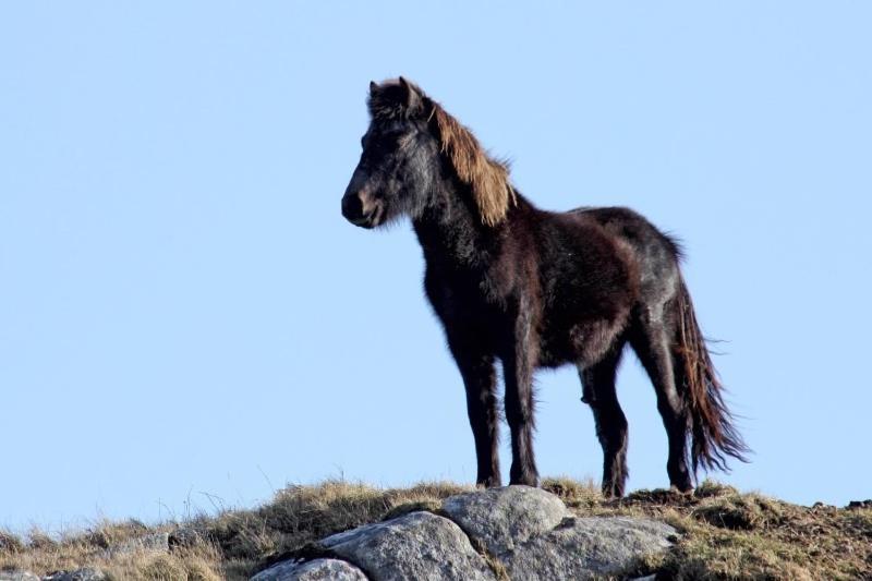 Eriskay Views Cottage 23
