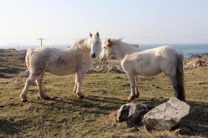 Eriskay Views Cottage 22