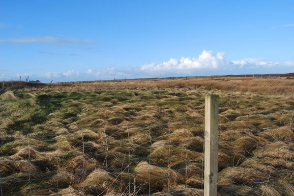 Assignation of Croft Tenancy 17 Griminish, Isle of Benbecula, Western Isles, HS7 5QA